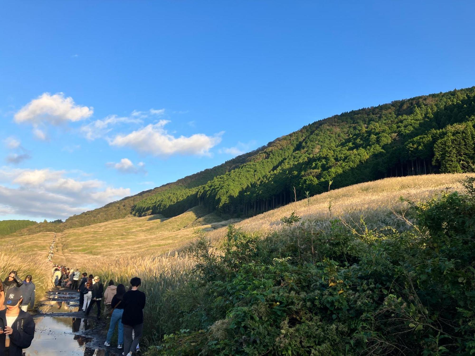 Onsen Yado Teishaba Hakone Exterior foto